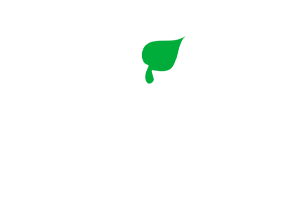 LOGO Steico Charpente couverture de la vaunage gard hérault